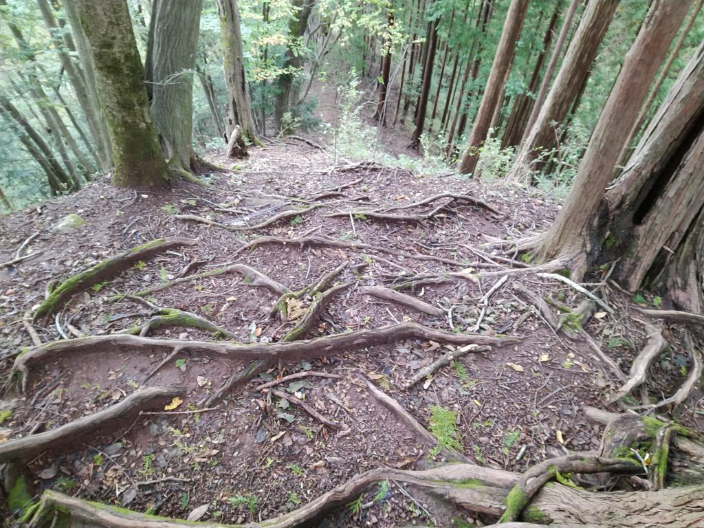 天目指峠