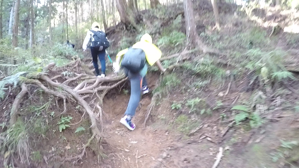 浅見茶屋から子の権現の登山道