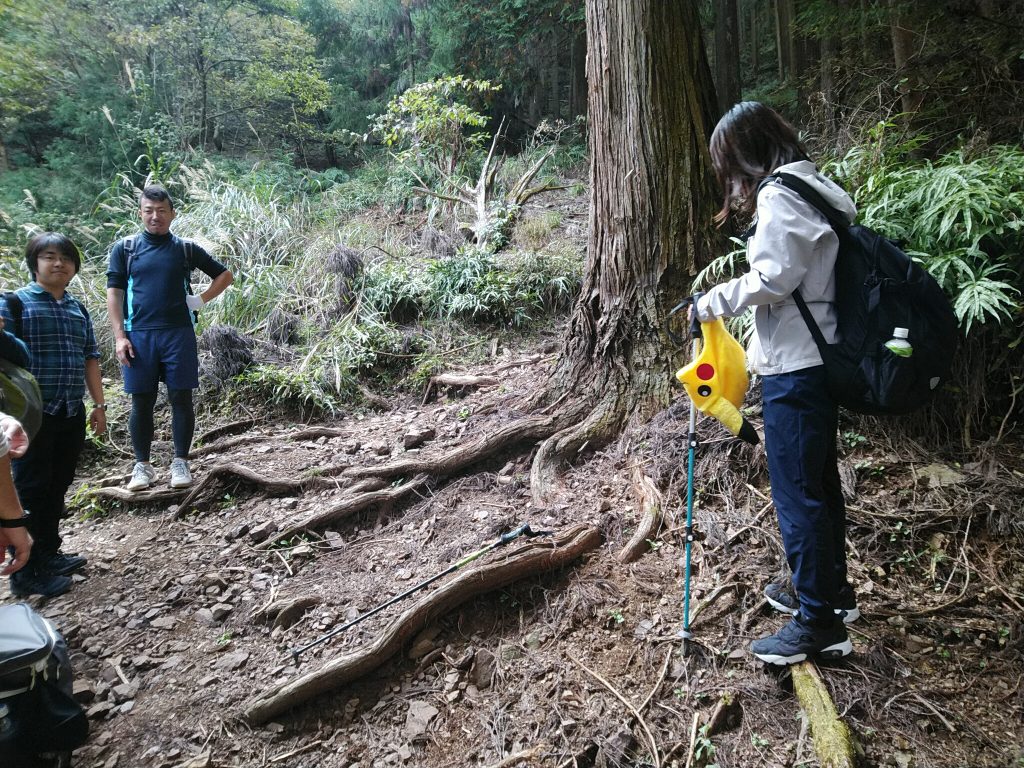 子の権現への登山道