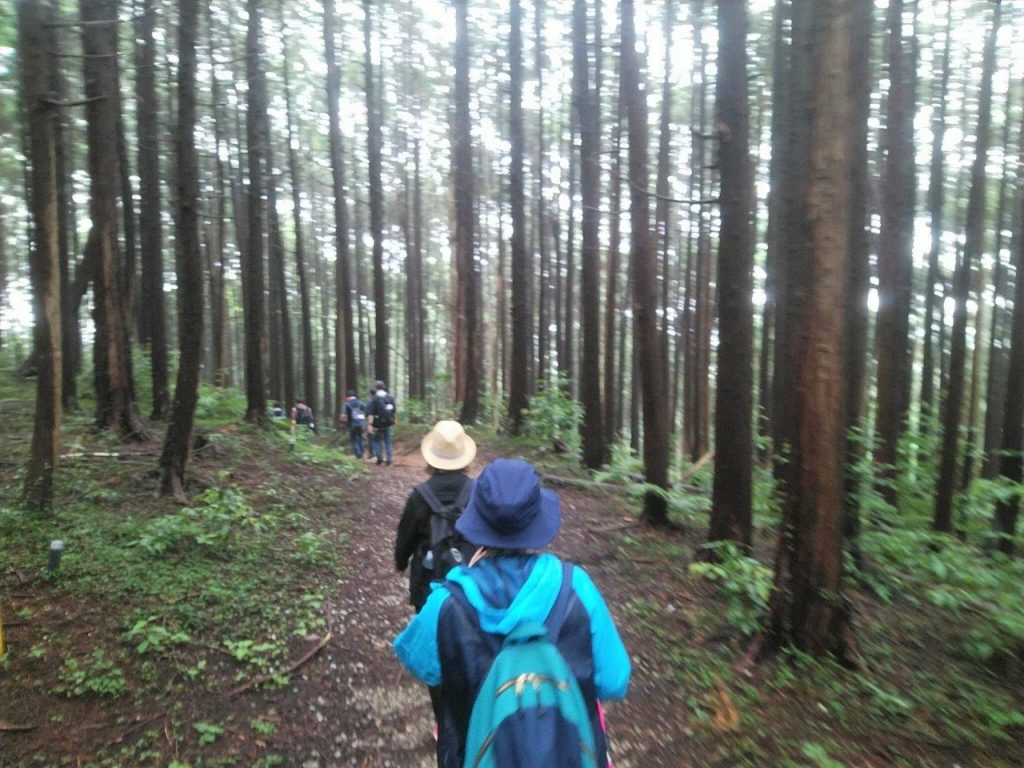 鎌北湖への山道