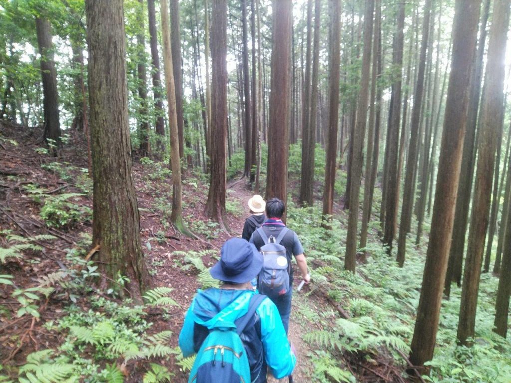 ユガテへの山道