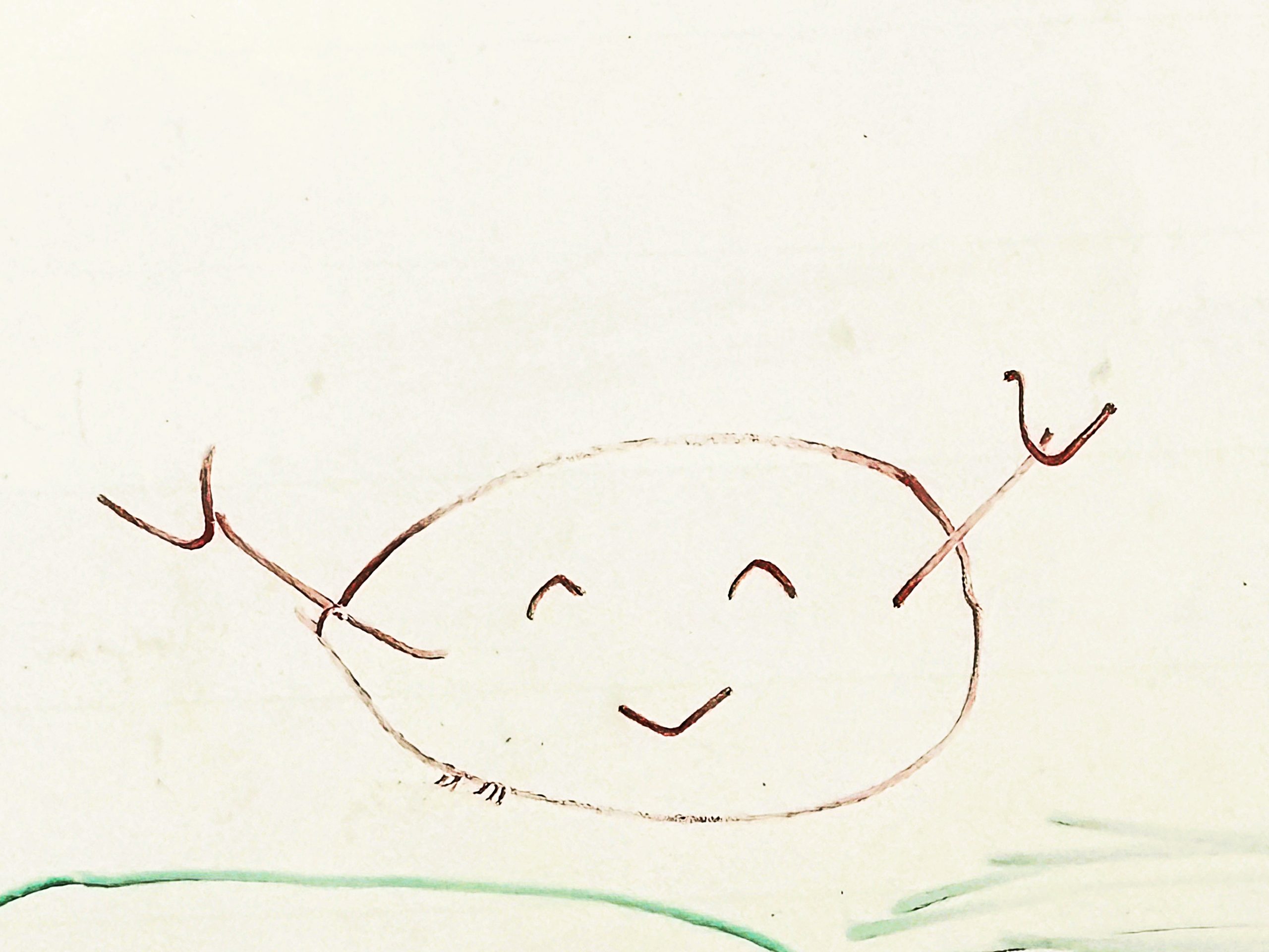 カニ